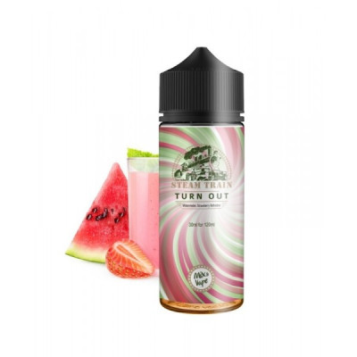 Steam Train - Turn Out 30/120ML