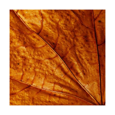 DK Tobacco Base Flavor  - TPA