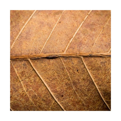 DK Tobacco II Flavor - TPA