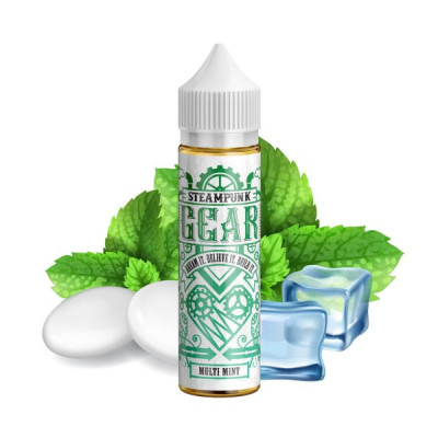 SteamPunk Flavor Shots Gear – Multi Mint